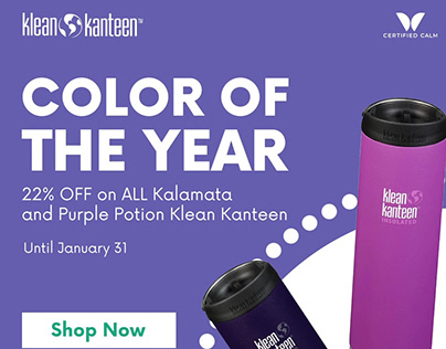 Klean Kanteen: 2022 Color of the Year