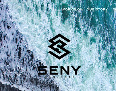 Web Design Seny Projects