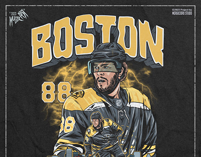 Hokey (Boston Bruins) design for T-shirt