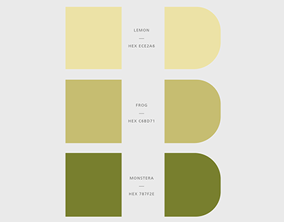Color Palettes for Personal Brands