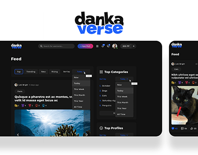 Danka Verse platform design