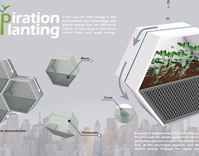 蒸騰植栽 Transpiration Building Planting