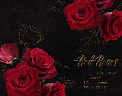 Red Roses Clipart Rose Gold Elements