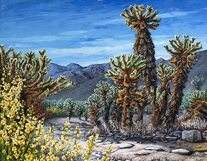 Project thumbnail - Wondering the Cholla Cactus Gardens