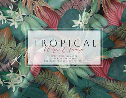 Tropical Flora &Fauna. Patterns and Frames