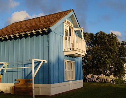 Rural wooden house and hydrangeas | Sao Miguel
