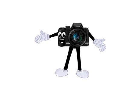 camera animation