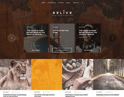 Relive - Storytelling WordPress Blog Theme