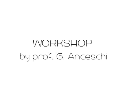WORKSHOP by prof. G. Anceschi