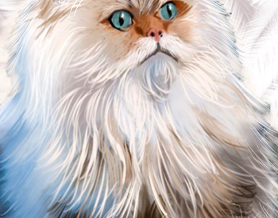 Persian Cat