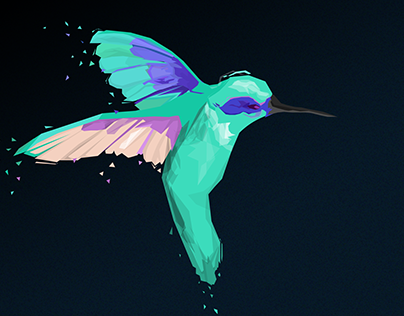 Hummingbird vexel poster