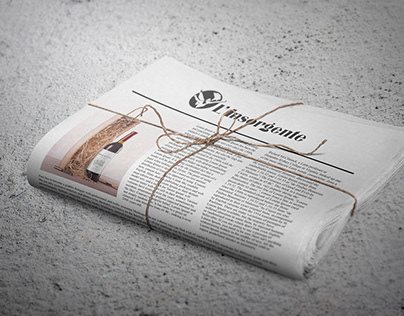 Logo for a Newspaper Publisher