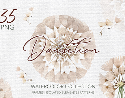 Watercolor Dandelion PNG collection