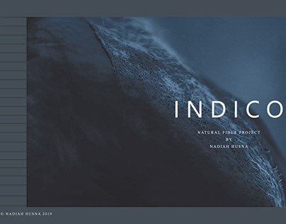 Indico - Natural Fiber and Dye Project