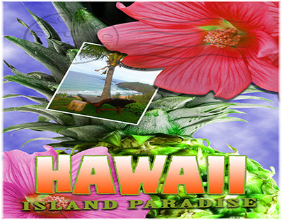 Hawaii Island Paradise