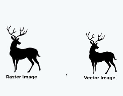 Vector tracing |Vector to raster|