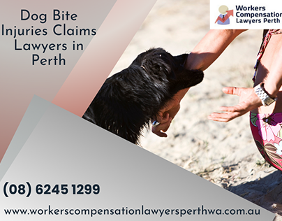 Dog Bite Injuries Compansation Lawyers In Perth