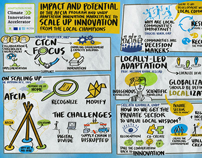 UNDP Climate Innovation Accelerator