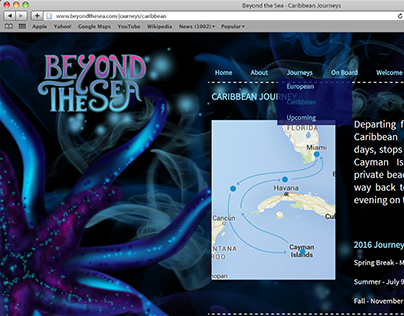 Beyond the Sea - Website