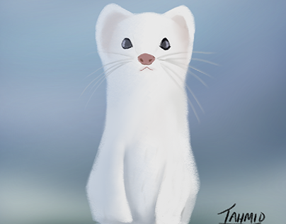 White Weasel | Digital art