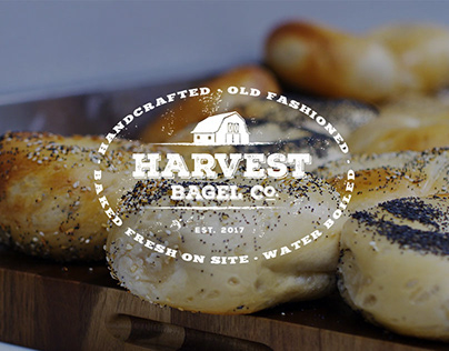 Harvest Bagel Co. Website & Identity