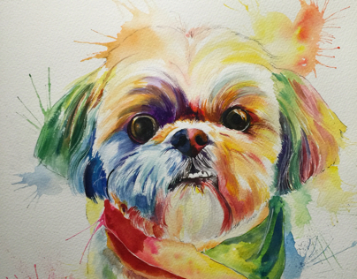 Watercolour dog