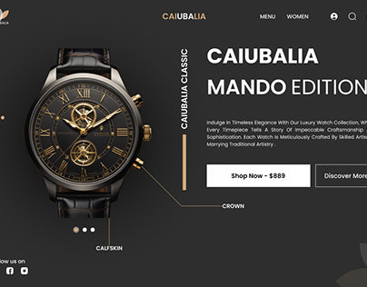 Professional Watch Website UI & with animations