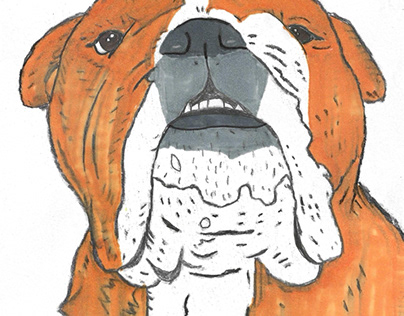 Dudley, My Honey-Red English Bulldog