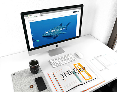 Whale Shark Website