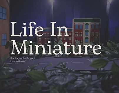 Project thumbnail - Life In Miniature