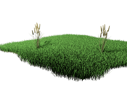campo de grama