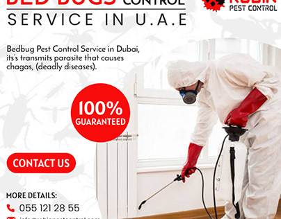 Professional Pest Control U.A.E