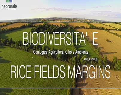Biodiversità e Rice Fields Margins