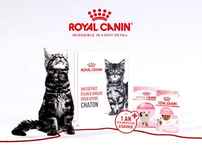 Project thumbnail - Royal Canin - Discovery Box