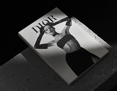 Journal cover for DIOR