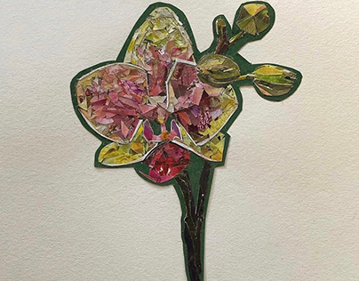 COLLAGE - Orchid