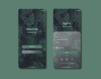 Daily UI | Sign in Screen