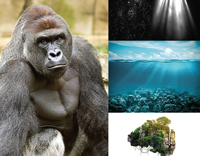 Photo Manipulation - Gorilla island