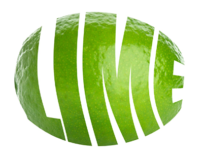 LIME Infographic