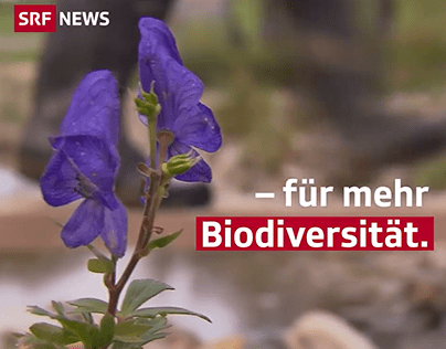 Mission B - für mehr Biodiversität