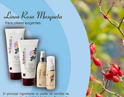 Rosa Mosqueta (Brochure)