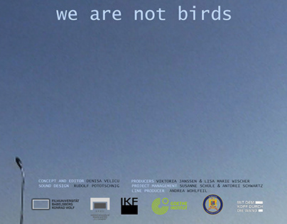 we are not birds- video essay