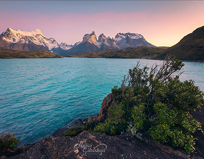 Patagonian beauty