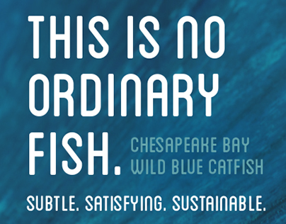 Wide Net Project's Wild Blue Catfish - Market Label