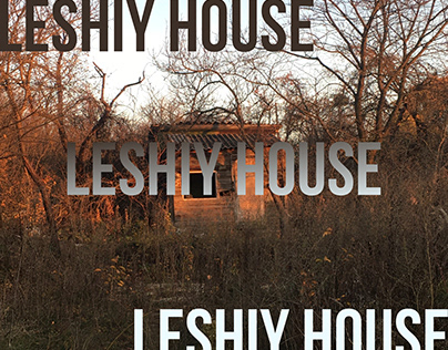 Leshiy House
