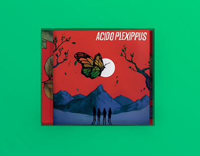 Acido Plexippus