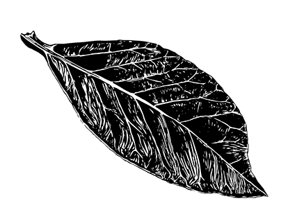 Black Ink Food Illustration