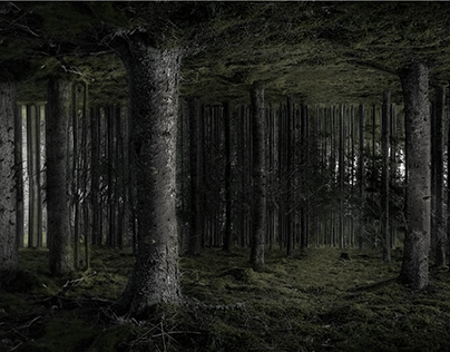 A dark gloomy forest, but something is off