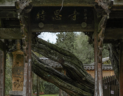 Shi Si Temple 時思寺