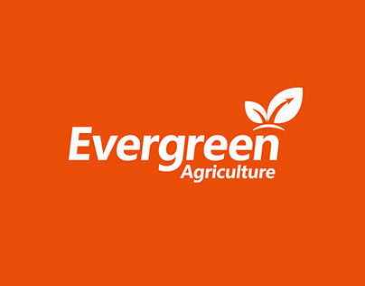Evergreen Agriculture, branding, golden ratio